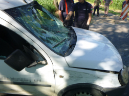 A gépkocsi sofőrje megsérült