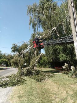 A tűzoltók ledarabolták a letört ágakat