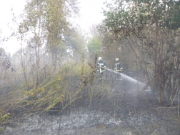 két tűzoltó oltja a magas füves vegetáció tüzet