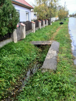 Benőtte a gaz