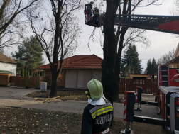 Vihar után megnő a műszaki mentések száma