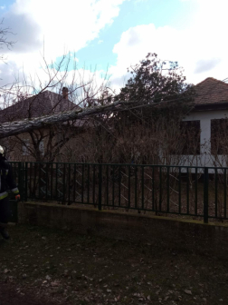 Háztetőre dőlt fát daraboltak le