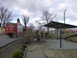 Várakozó utasok helyett letört ágakkal telt meg a buszmegálló