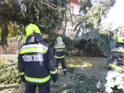 láncfűrésszel avatkoznak be