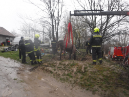 Daruval kiemelték az állatot a gödörből