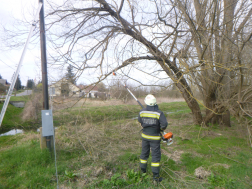 A tűzoltók levágták a veszélyes ágakat