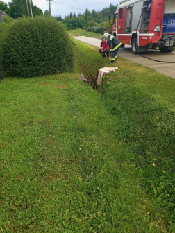 A híd alá menekült