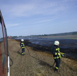 Közel volt a kukoricatábla