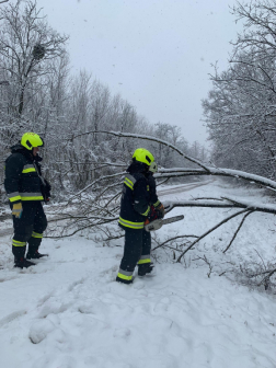 Rövid idő alatt összedarabolták