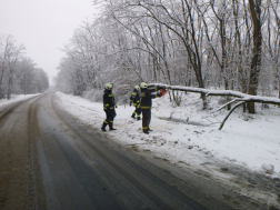 faeltávolítás motorfűrésszel