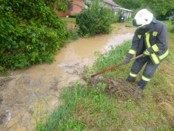 Benőtte a gaz az árkot