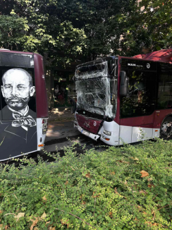 Katasztrófavédelem