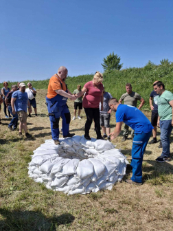 Közös erővel