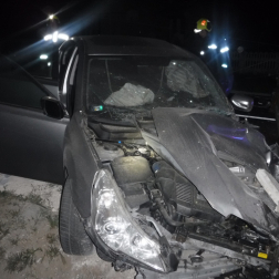 Katasztrófavédelem