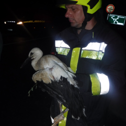 Katasztrófavédelem