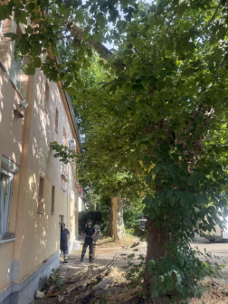 Katasztrófavédelem