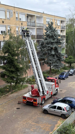 Katasztrófavédelem
