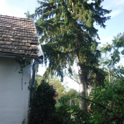 fadőlés