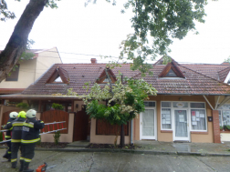 Katasztrófavédelem