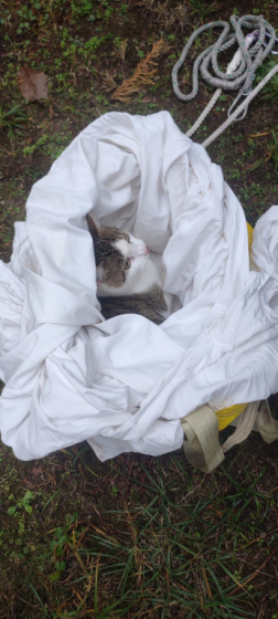 Katasztrófavédelem