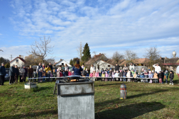 Katasztrófavédelem