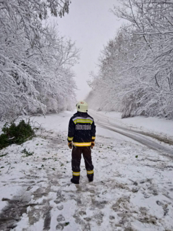 Katasztrófavédelem