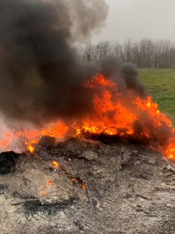 Hulladékot égettek