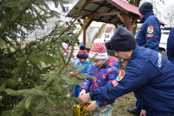 Ünnepi díszben a tűzoltó fenyőfája