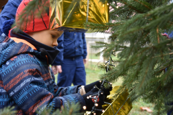Ünnepi díszben a tűzoltó fenyőfája