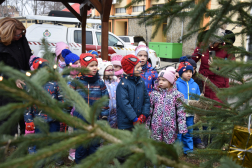 Ünnepi díszben a tűzoltó fenyőfája