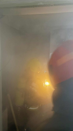 áramszünetet okozott egy kidőlt fa