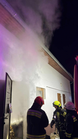 áramszünetet okozott egy kidőlt fa