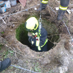 Sértetlenül megúszta az esést az állat