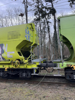 Kidőlt fák Somogyban