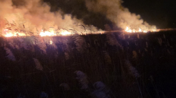 marcali kollégák fotói