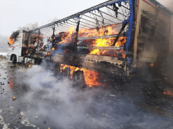 Száraztészta rakomány odalett