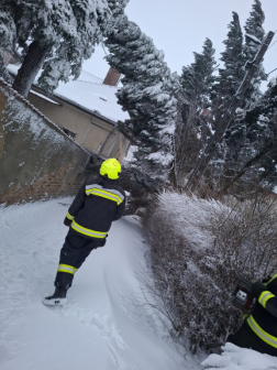 Fák dőltek ki és járművek akadtak el
