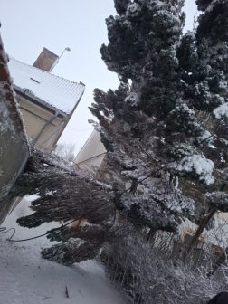 Fák dőltek ki és járművek akadtak el