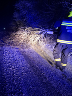 Fák dőltek ki és járművek akadtak el