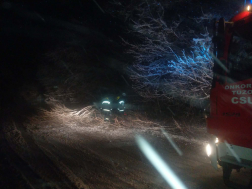 Fák dőltek ki és járművek akadtak el