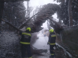 Fák dőltek ki és járművek akadtak el