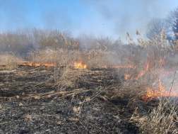 Több helyen égett a nádas