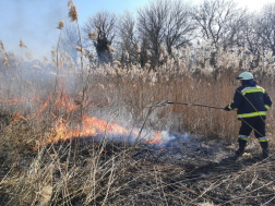 Több helyen égett a nádas