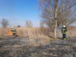 Több helyen égett a nádas