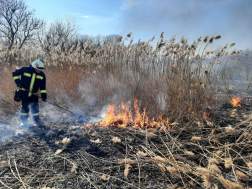 Több helyen égett a nádas