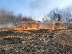 Lakóházakat nem veszélyeztetett a tűz