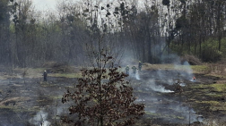 a kaposvári tűzoltók oltották el