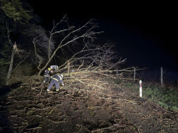 Közúti közlekedést akadályozták a kidőlt fák