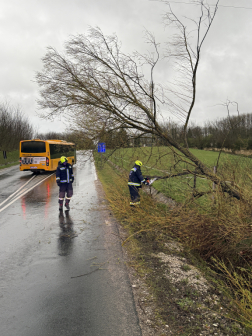 Az út felé megdőlt