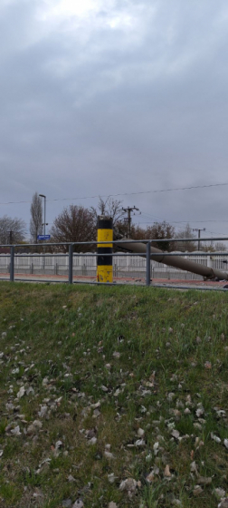 Vasúti sínekre dőlt fa Zamárdiban